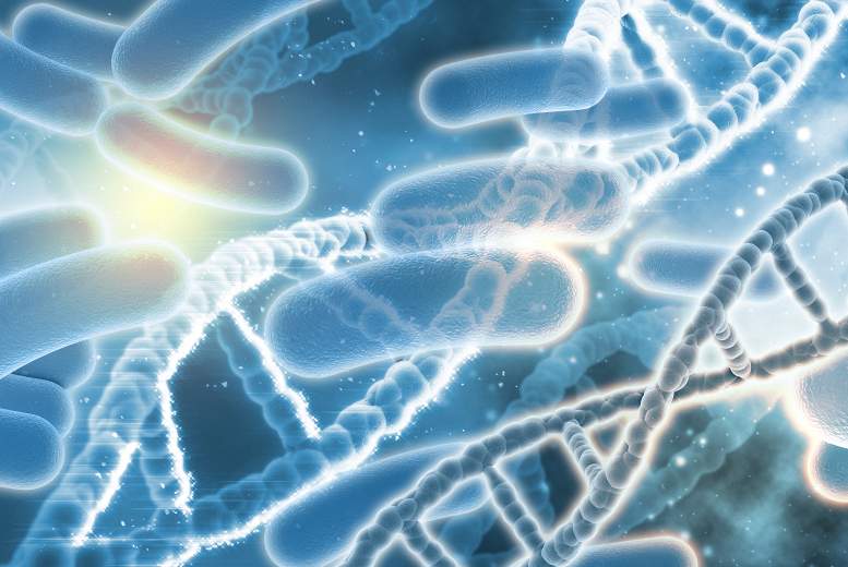 Zarnu mikrobiota saistīta ar dzīves kvalitātes traucējumiem pacientiem ar iekaisīgu zarnu slimību