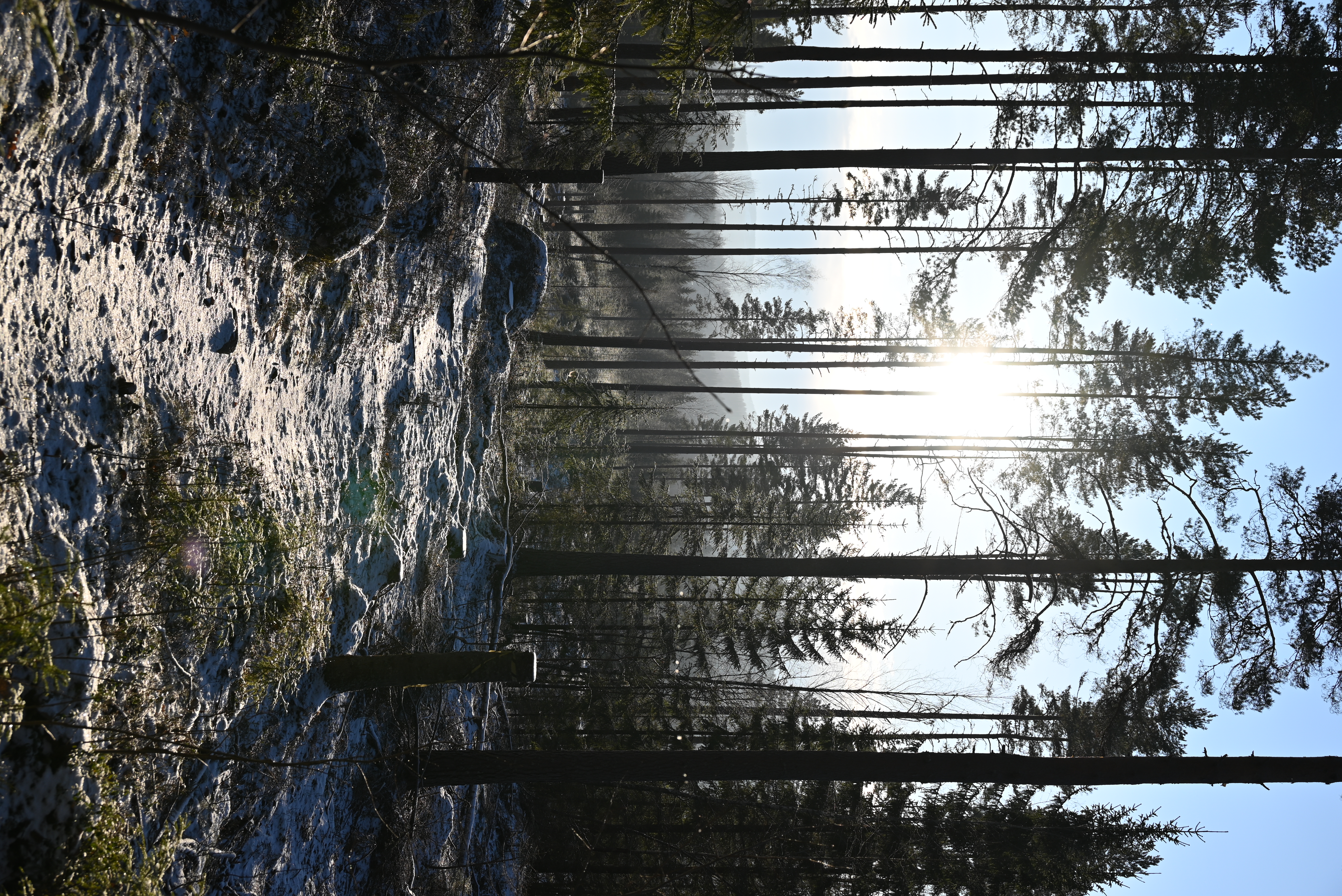 Kristiānam brīvajā laikā patīk fotografēt. Šis ir viņa uzņemts foto pastaigas laikā Torsbijā; piecu minūšu gājienā no mājām bija mežs