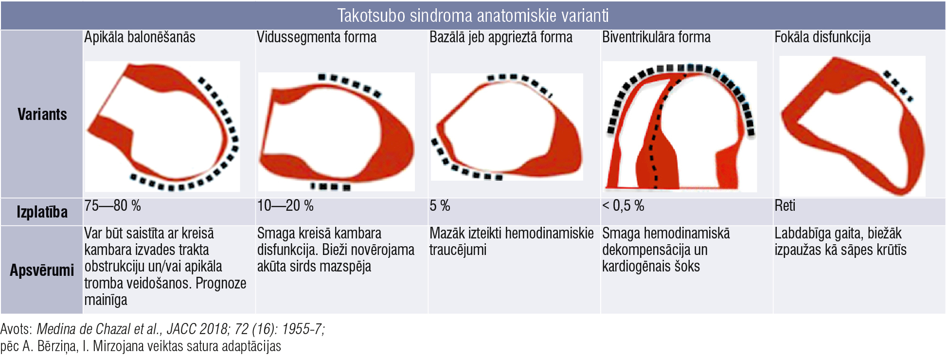 Takotsubo sindroma anatomiskie varianti
