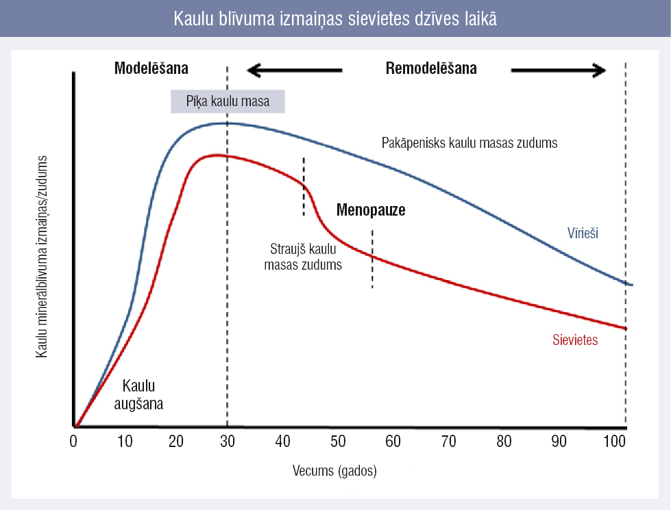 Kaulu blīvuma izmaiņas sievietes dzīves laikā