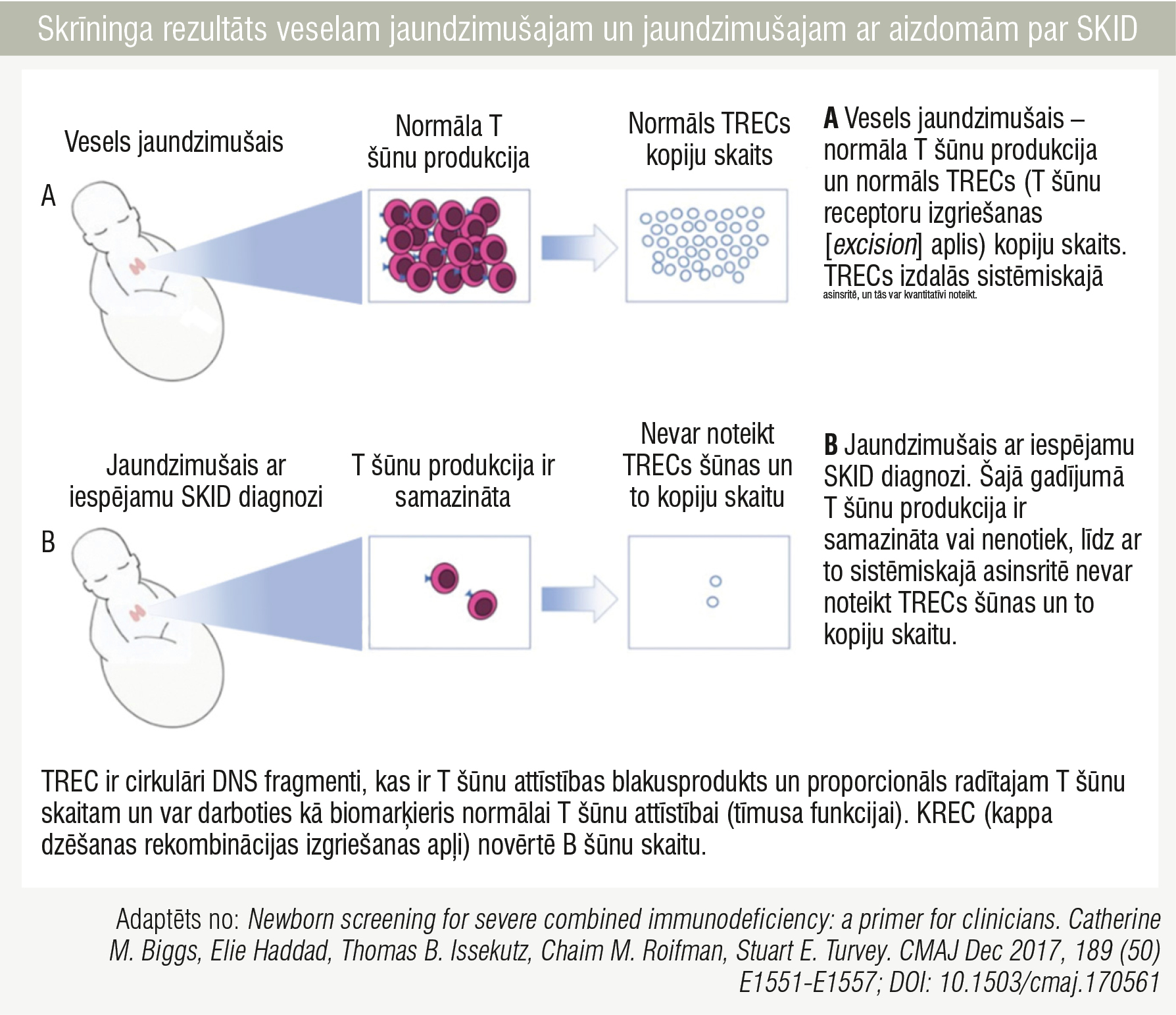Skrīninga rezultāts veselam jaundzimušajam un jaundzimušajam ar aizdomām par SKID