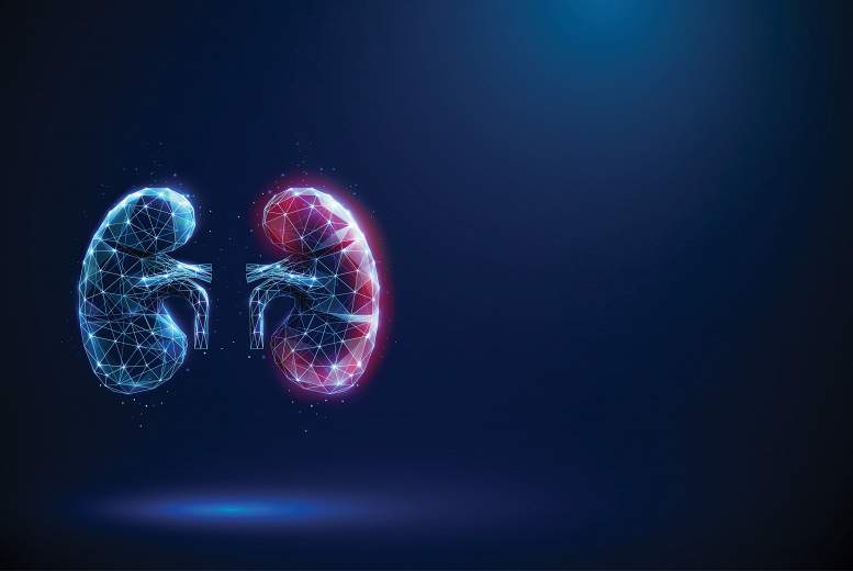 Vēzis nierē. Kā diagnosticēt pēc iespējas ātrāk?