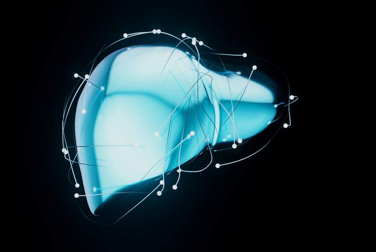 Malnutrīcija un sarkopēnija hronisku aknu slimību gadījumā