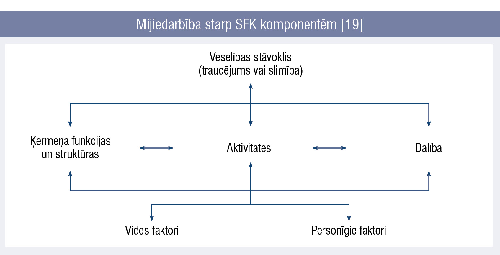 Mijiedarbība starp SFK komponentēm [19]