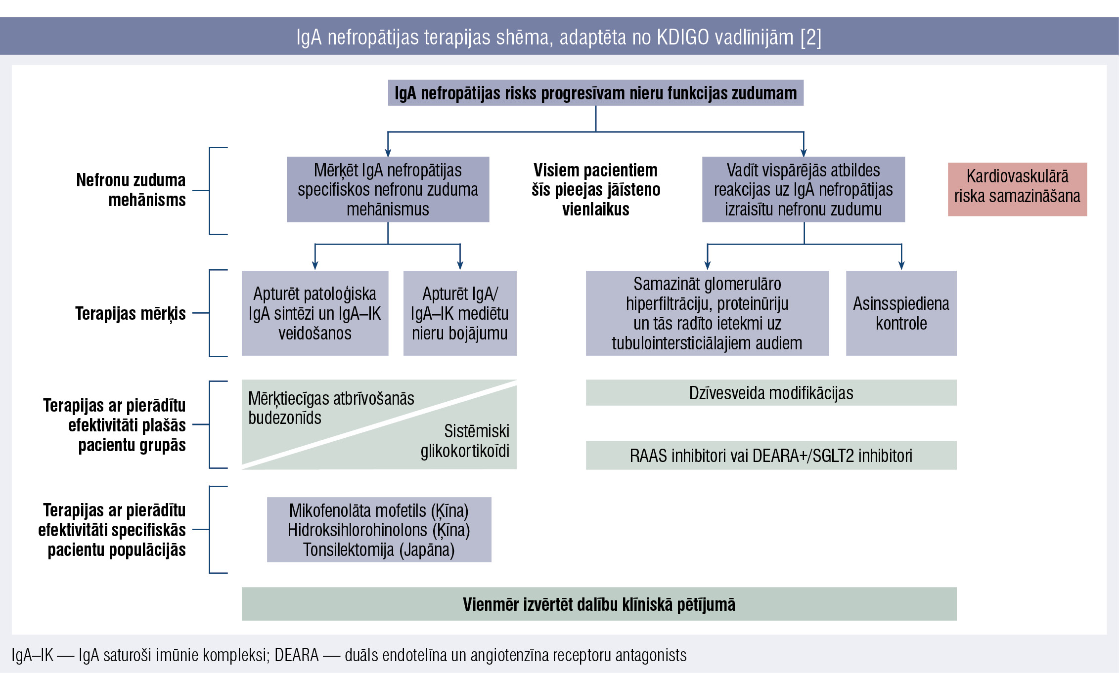 IgA nefropātijas terapijas shēma, adaptēta no KDIGO vadlīnijām [2]